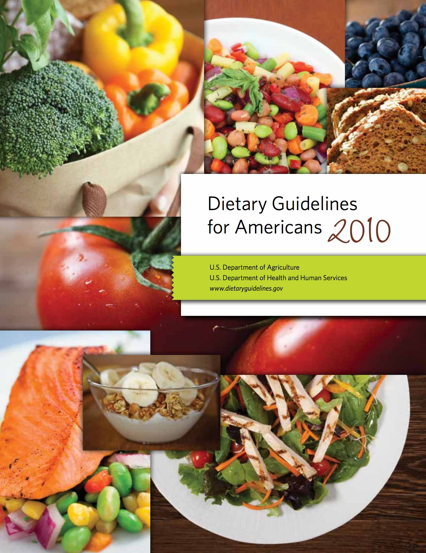 2010 dietary guidelines