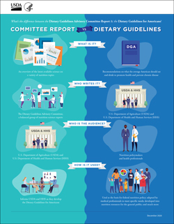 Infographic Committee Report vs the Dietary Guidelines jpg