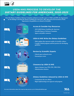 Infographic Process to Develop the Dietary Guidelines jpg