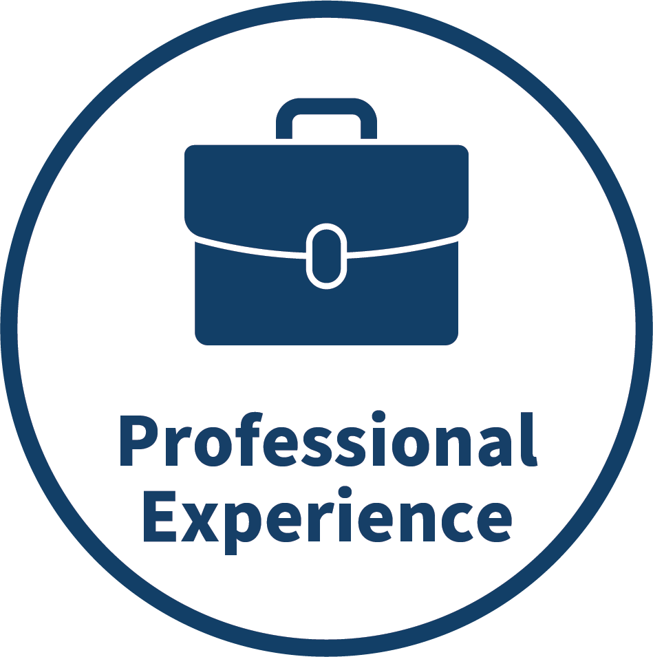 professional experience icon